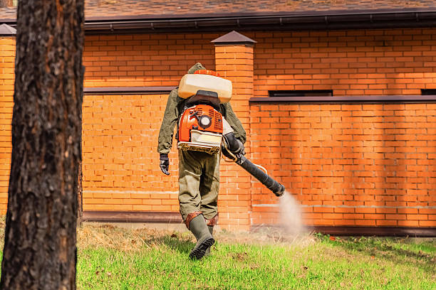 Trusted Bed Bug Control service in Cloverdale, IN - Nex Pest Control